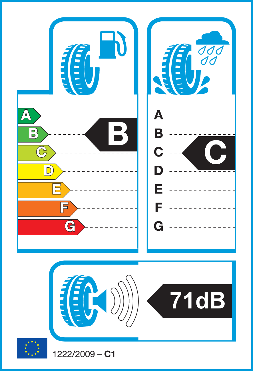Etichetta Europea Bridgestone Bridgestone 205/60 R16 96V ECOPIA EP422 + Demo XL pneumatici nuovi Estivo