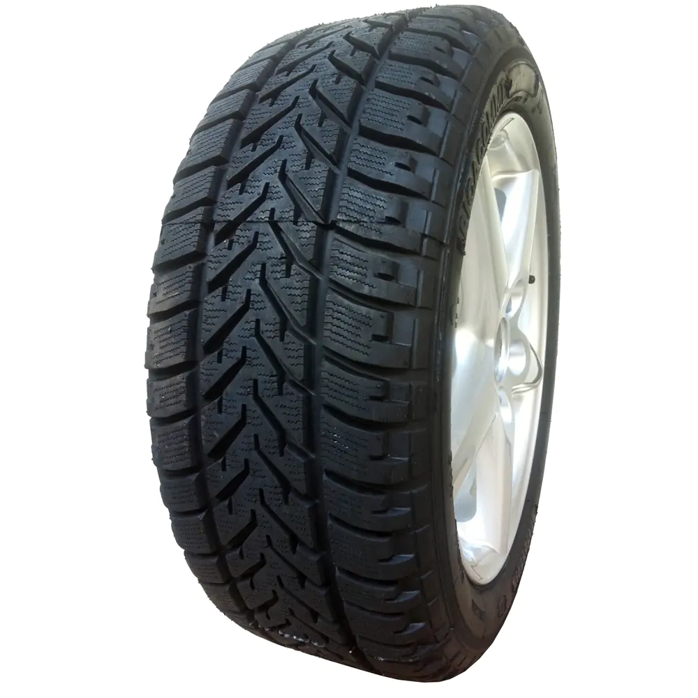 Riga Riga 185/70 R14 88T W210 Ricoperta pneumatici nuovi Invernale 
